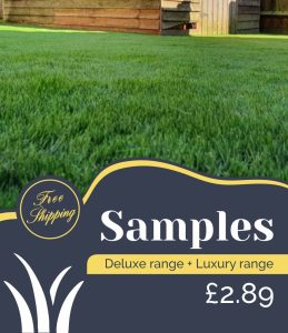 Artificial Grass Samples