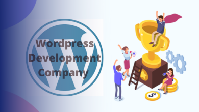 Wordpress Development Company