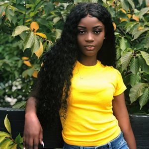 virgin human hair wigs