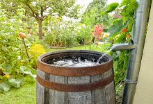 rain barrel