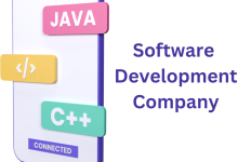 software development company